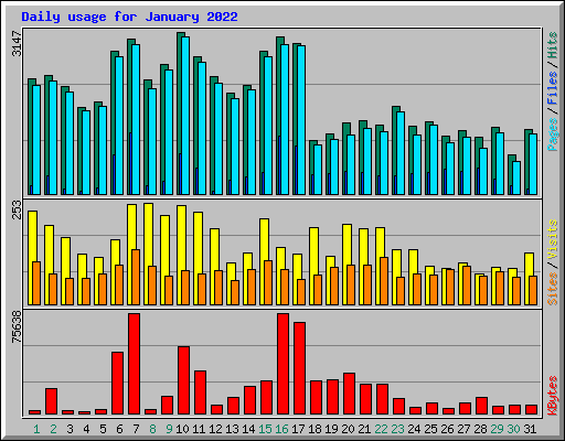 Daily usage for January 2022