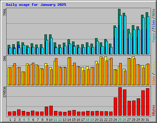 Daily usage for January 2025