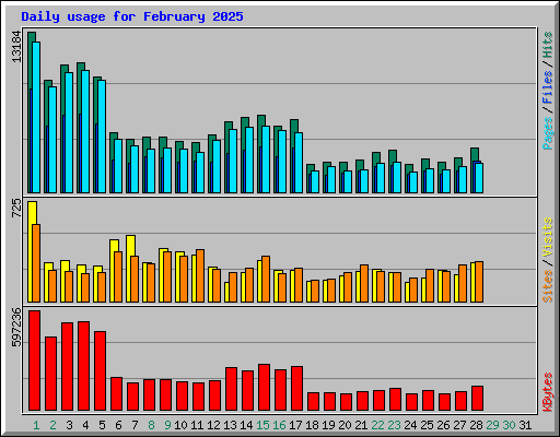 Daily usage for February 2025