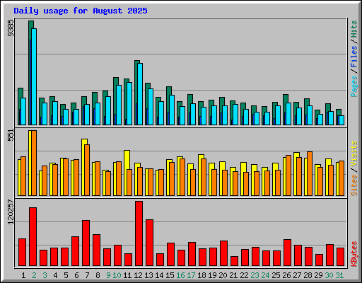 Daily usage for August 2025
