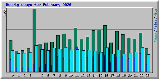 Hourly usage for February 2020