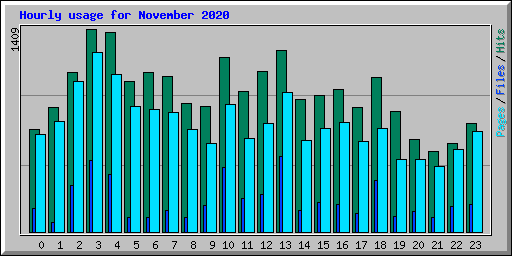Hourly usage for November 2020
