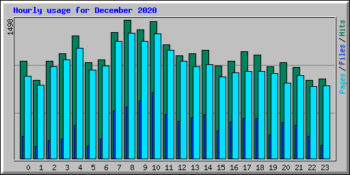 Hourly usage for December 2020