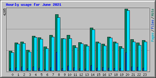 Hourly usage for June 2021