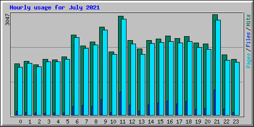 Hourly usage for July 2021
