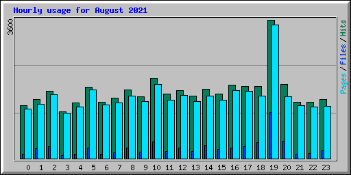 Hourly usage for August 2021