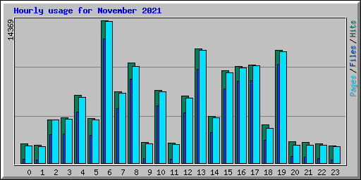 Hourly usage for November 2021