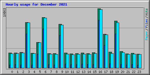 Hourly usage for December 2021