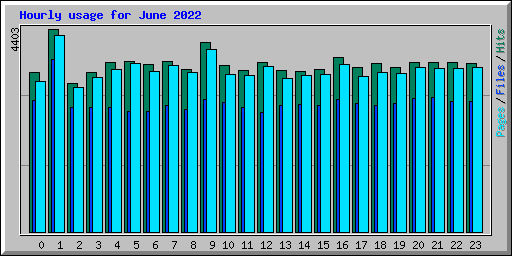 Hourly usage for June 2022