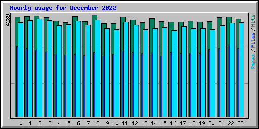 Hourly usage for December 2022