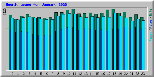 Hourly usage for January 2023