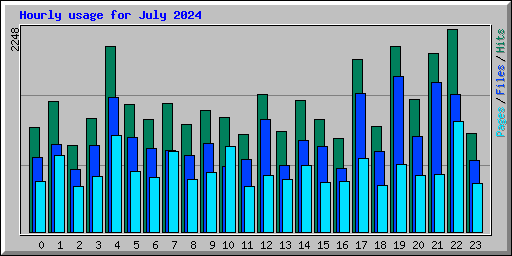 Hourly usage for July 2024