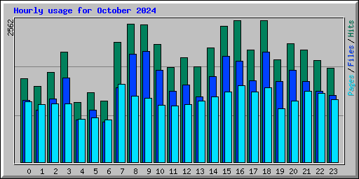 Hourly usage for October 2024
