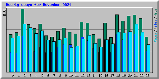 Hourly usage for November 2024