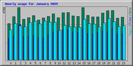 Hourly usage for January 2025