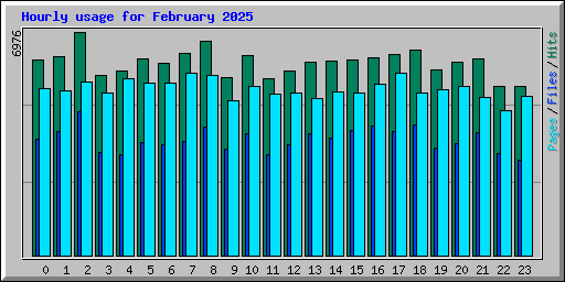 Hourly usage for February 2025
