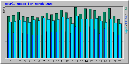 Hourly usage for March 2025
