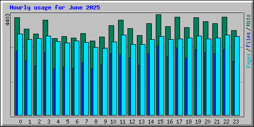 Hourly usage for June 2025