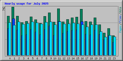 Hourly usage for July 2025