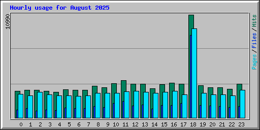 Hourly usage for August 2025
