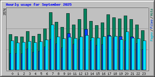 Hourly usage for September 2025