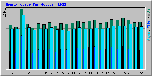 Hourly usage for October 2025