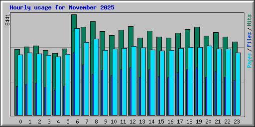 Hourly usage for November 2025