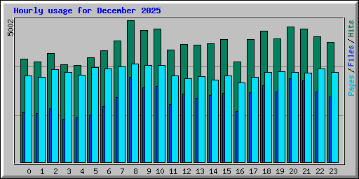 Hourly usage for December 2025