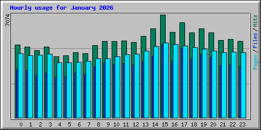 Hourly usage for January 2026