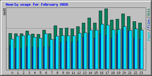 Hourly usage for February 2026