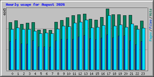 Hourly usage for August 2026